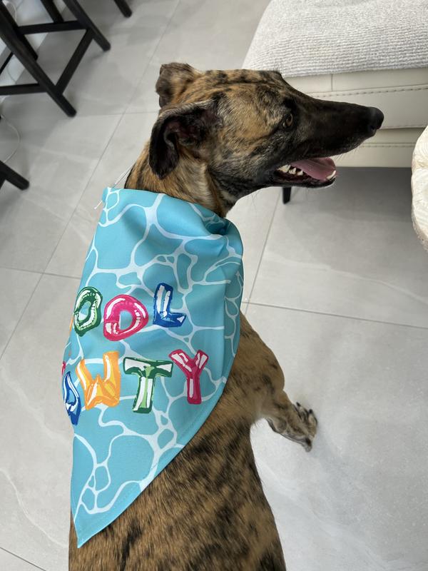 can't wait for the pool pawty