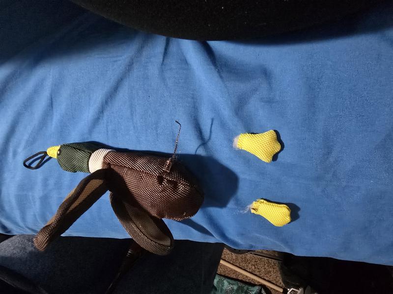 Less than 1hr of play