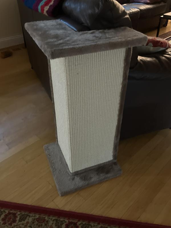 Fits and looks great