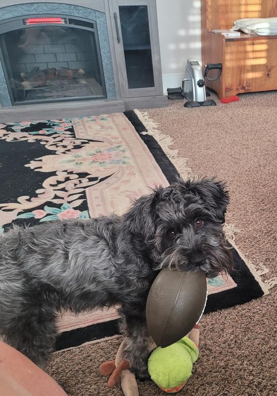 Playing with her chewy footbal!