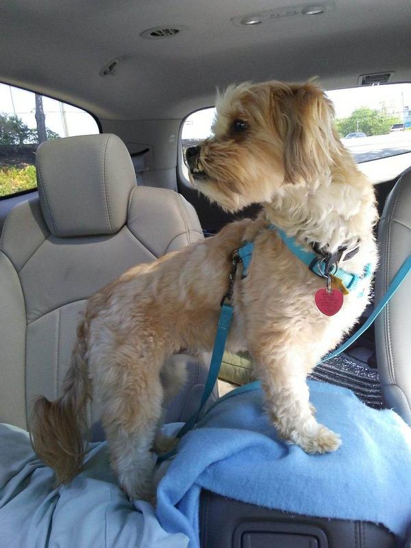 Ready for My next adventure!