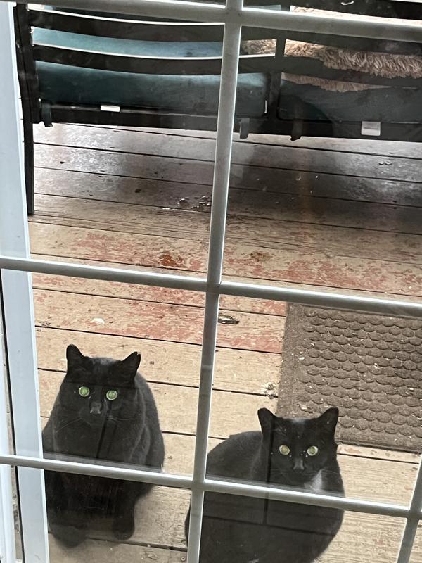 Every morn at 8:00 , clock work - Jody & Mitzy