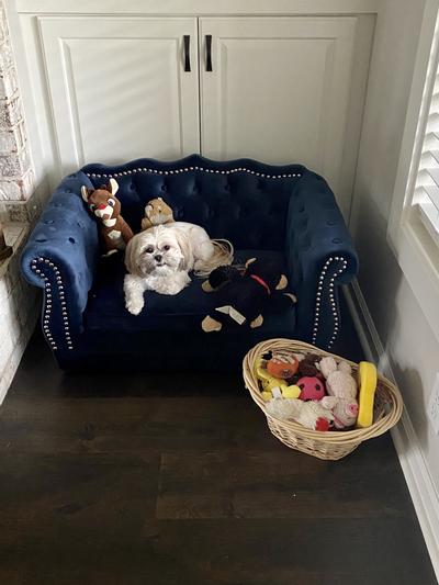 TOV Yorkshire Sofa Dog Bed