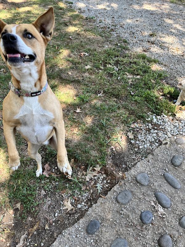 Just jumping with anticipation