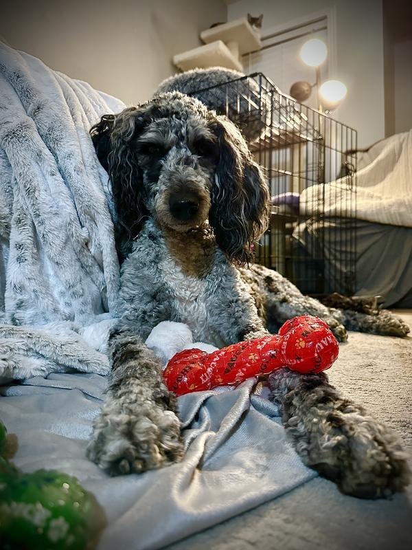 Boris & Horton Croissant Squeaky Toy