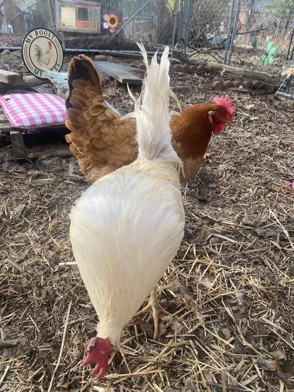 curious about the new thing mom has