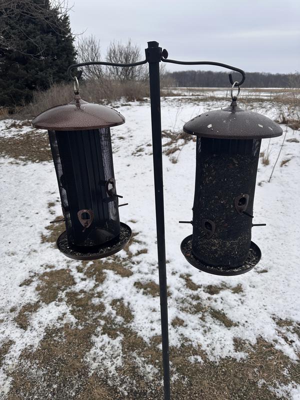 this model (terrible) vs. different model (very good)