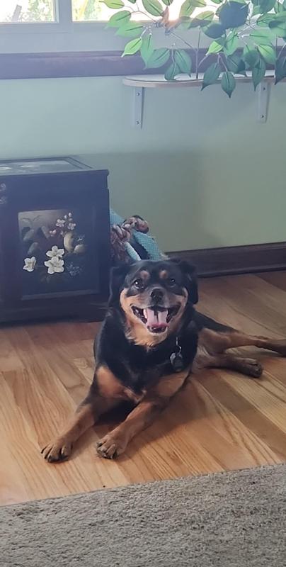 Happy guy after new mealtime!