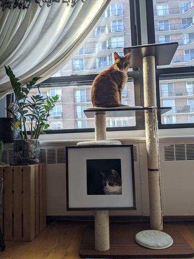 TRIXIE Avoca 48-in Modern Wooden Tower Cat Scratching Post