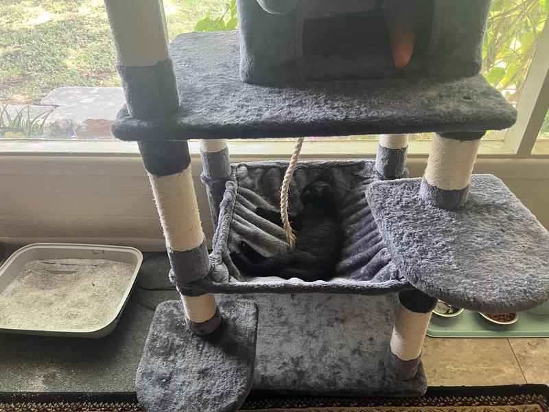 YAHEETECH 59in Plush Cat Tree & Condo, Dark Gray