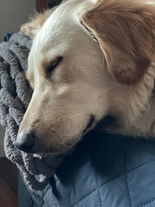 resting easy with clean ears