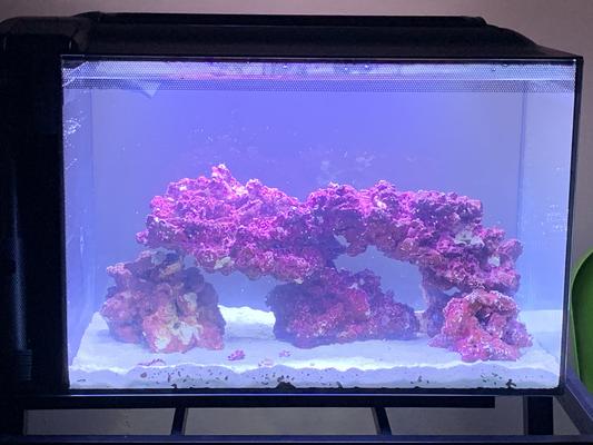 Pink 2024 aquarium sand