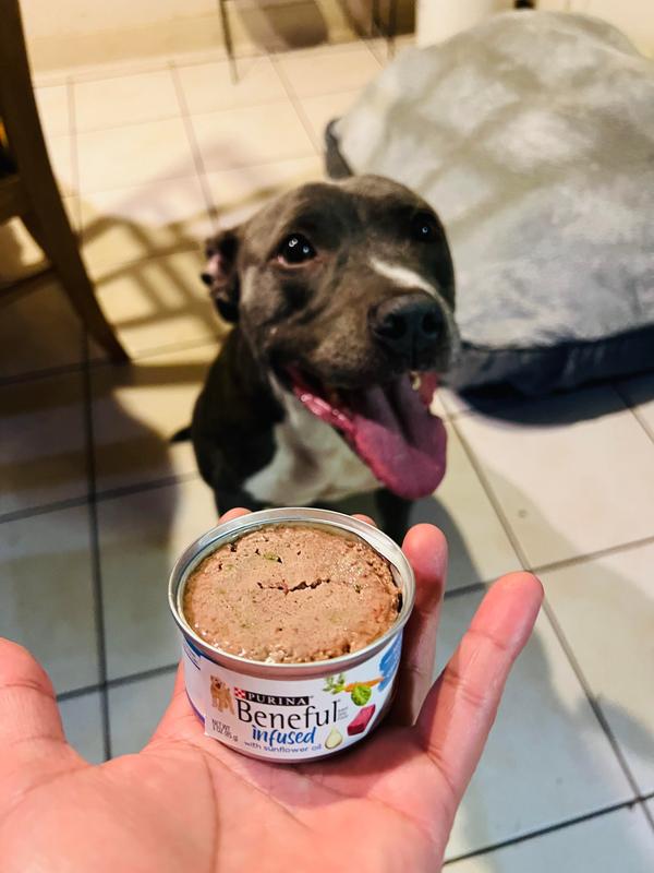 PURINA BENEFUL Infused Pate with Real Lamb Carrots Spinach Wet