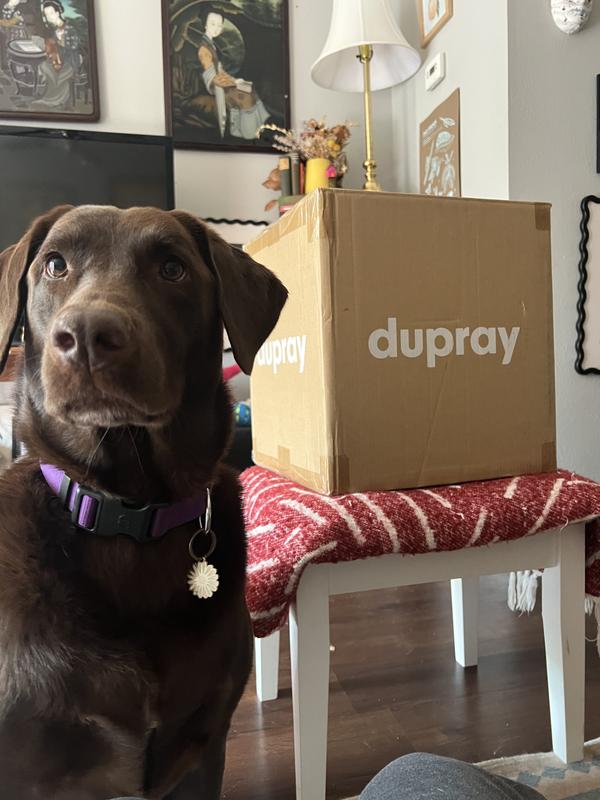 Ships in a branded box (beware of package pirates)