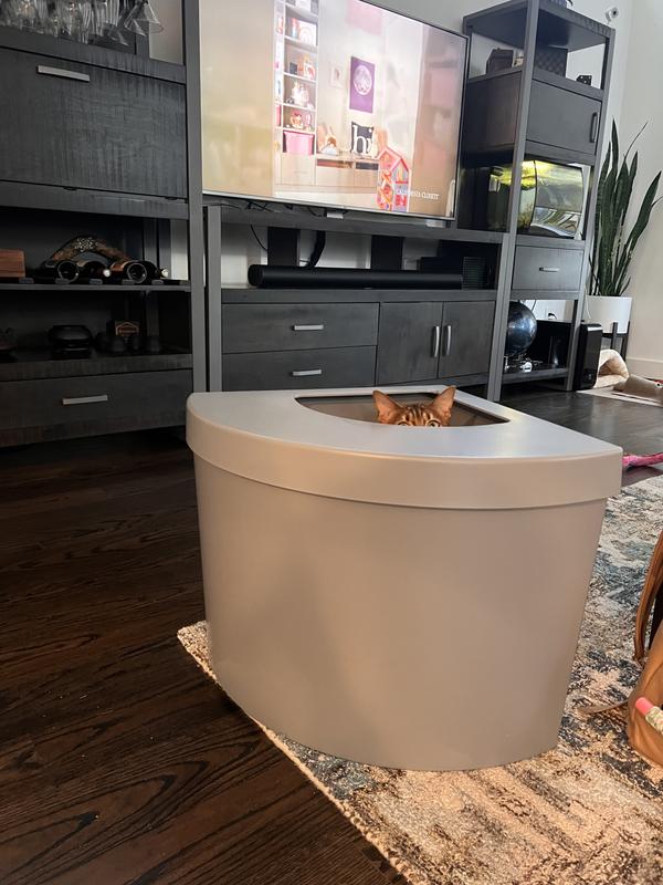 My bengals love it, started playing in it as soon as I took it out the box.