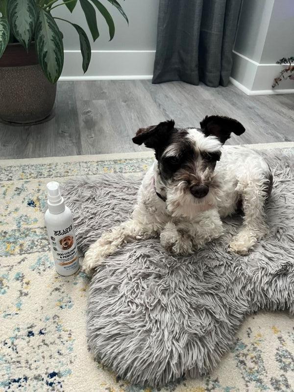 Schnauzer Approved!