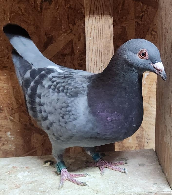 Won this week on this feed!