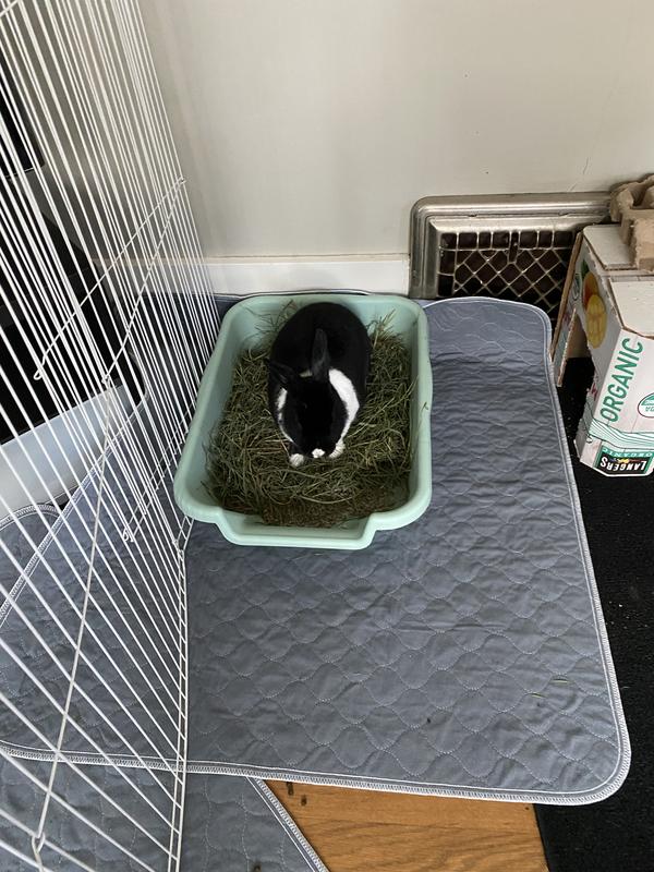 Uh, privacy please??