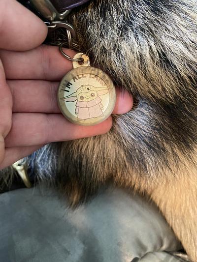 Theres not even another tag next to it to wear it down like that