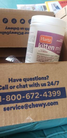Hartz hotsell kitten milk