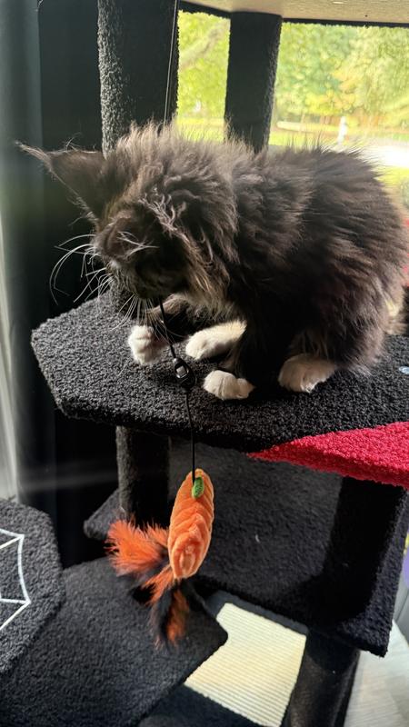 Out of Stock - FRISCO Halloween Interchangeable Teaser Wand Cat