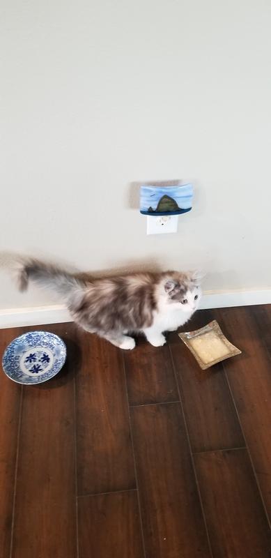 Enjoying Reveal