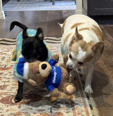 Laila (for size reference) 🥰