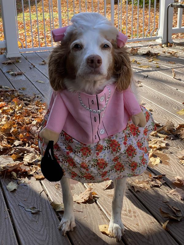 Raven as an old lady going to bingo