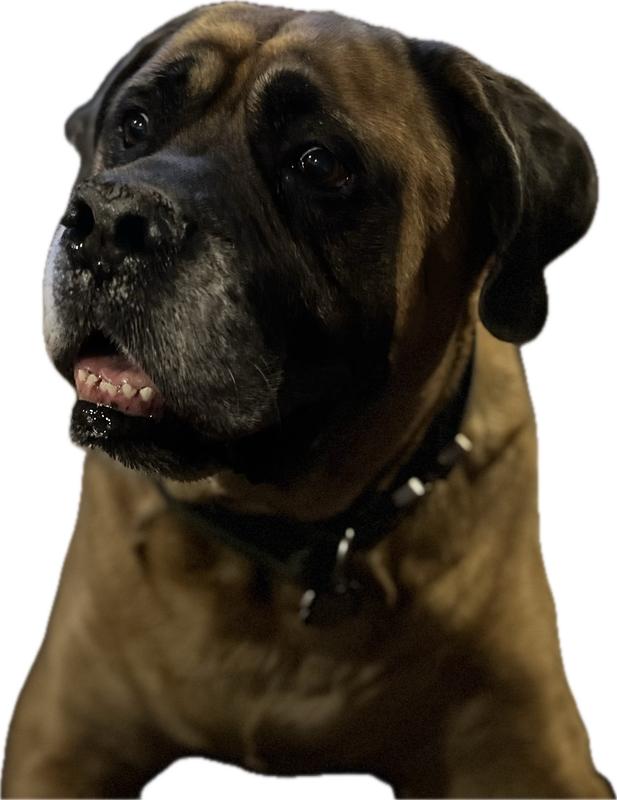 Angus, the 10 year old baby boy