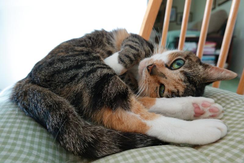 My adorable baby girl.