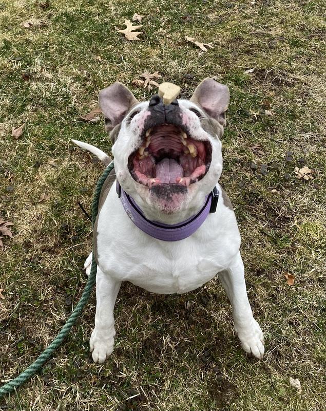 Learning how to catch!