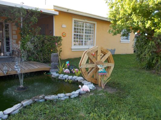 My fish pond...Thanks Chewy for fish food.