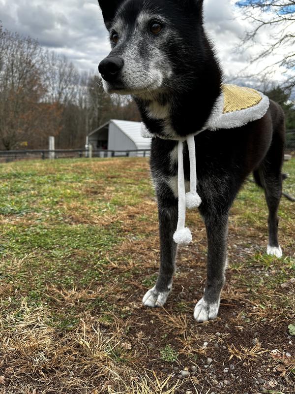 Gold side and a silver side