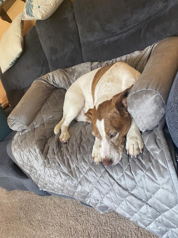 Maggie is very Happy!