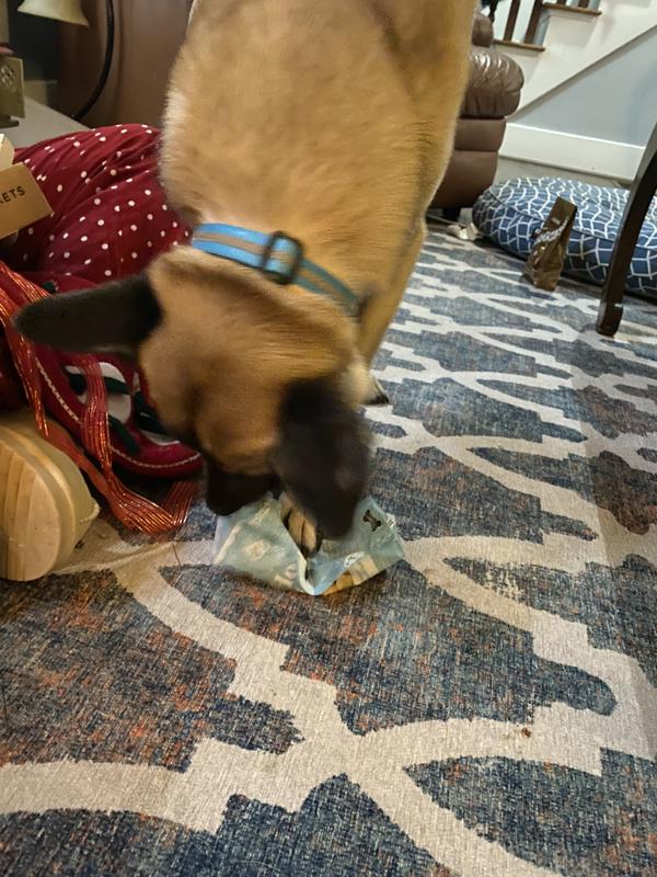 No Problem! I’ve got this!