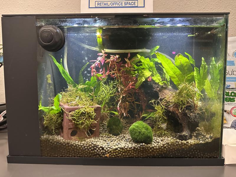 Waiting for the plants to grow in!