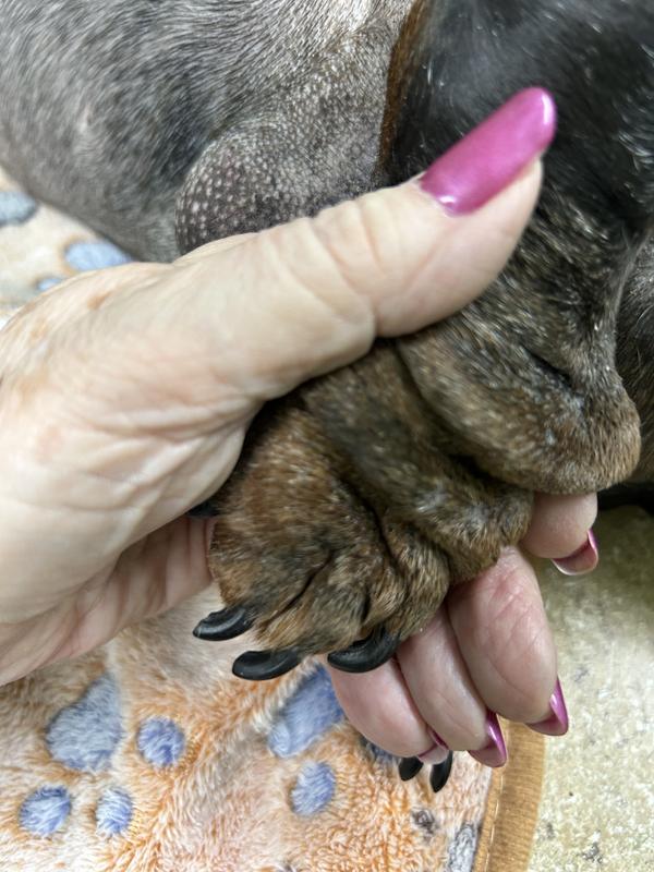 RIP Minnie