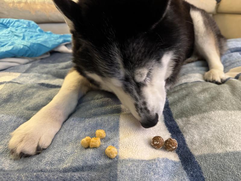 She ate One apple flavor not again Mahm