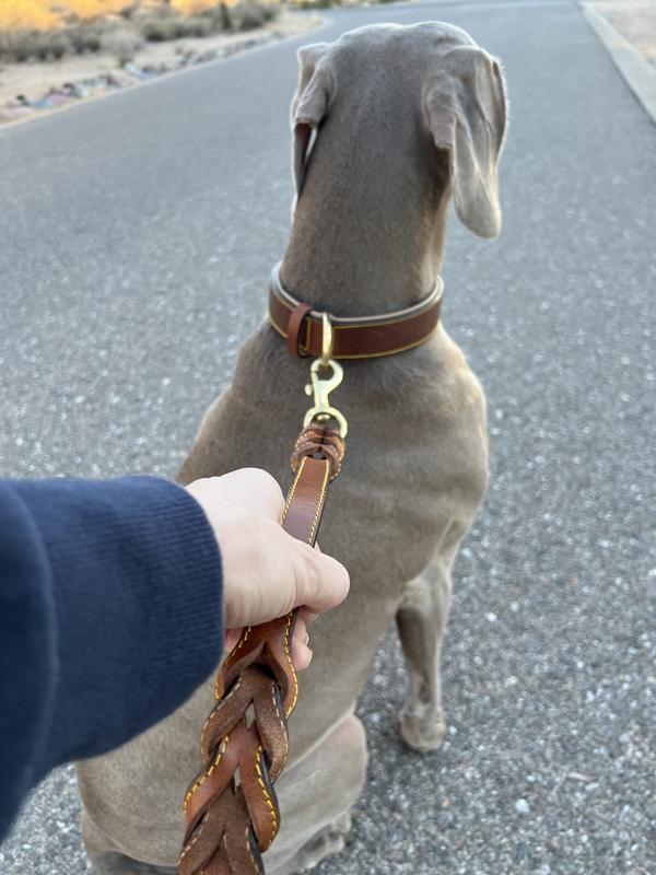SOFT TOUCH COLLARS Leather Braided Traffic Handle Dog Leash, Brown, 6