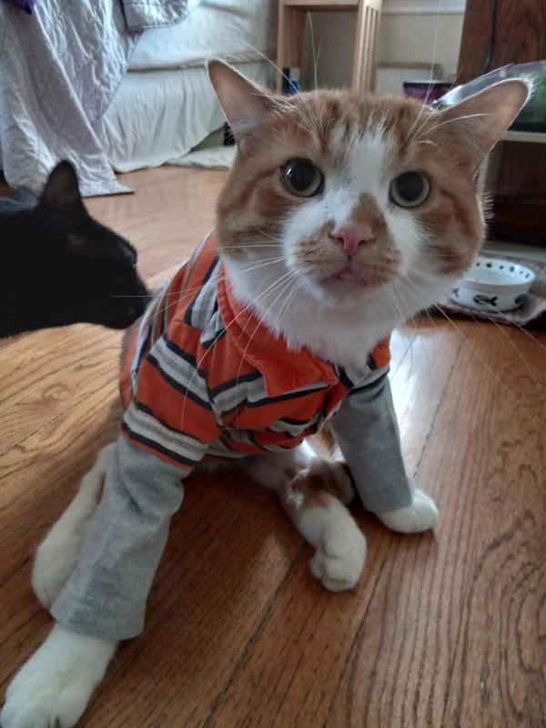 Cooper says thanks for the yummy food!