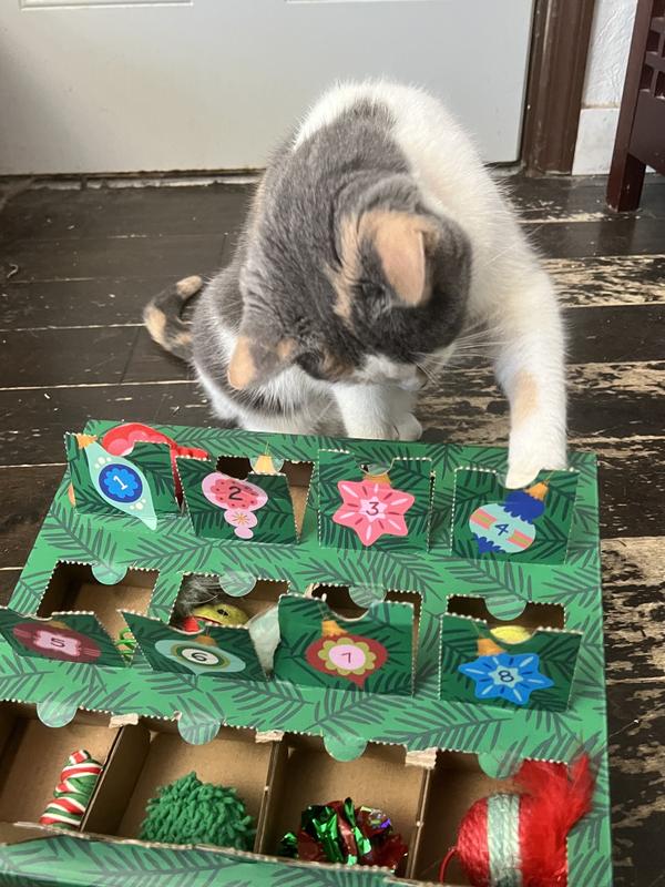 Dilute calico reaching into an open slot of a toy advent calendar.