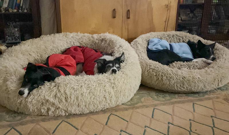 Before the big storm.