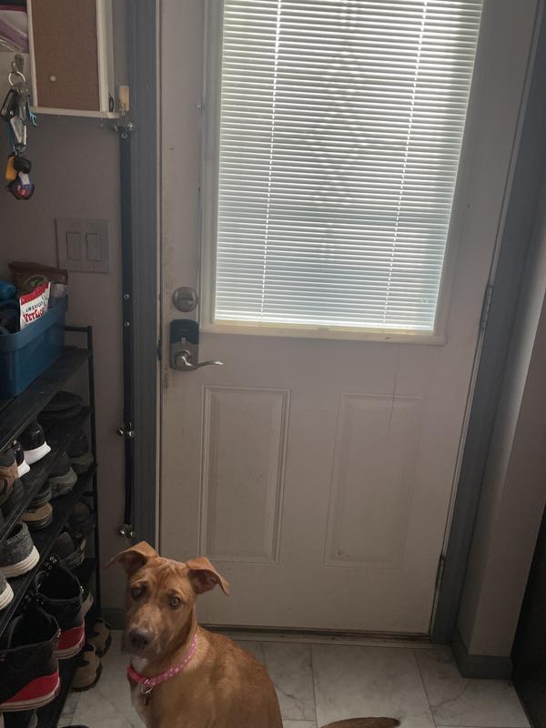 Perfect hight for Ruby