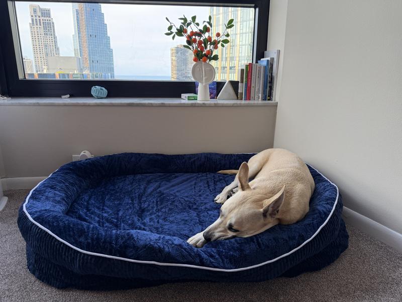 KYLINSURE All-Around Orthopedic Bolster Dog Sofa Bed with