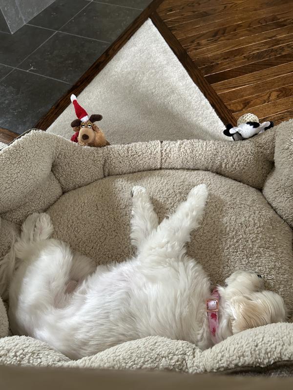 She is a 13-1/2 lb. Maltese mix with long legs that we loves to stretch out! A medium sized dog should fit great in this bed.