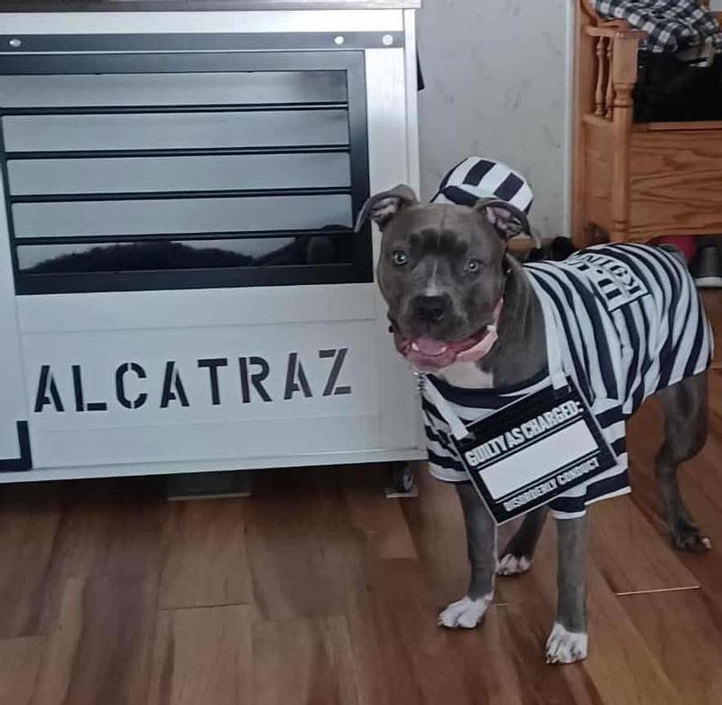 Stole treats got put at Alcatraz lol🤭