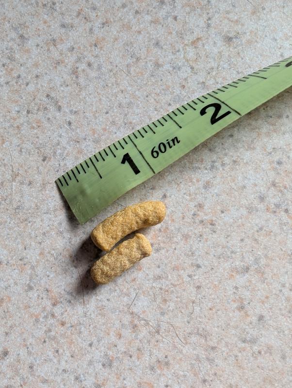 A whole piece is about an inch long