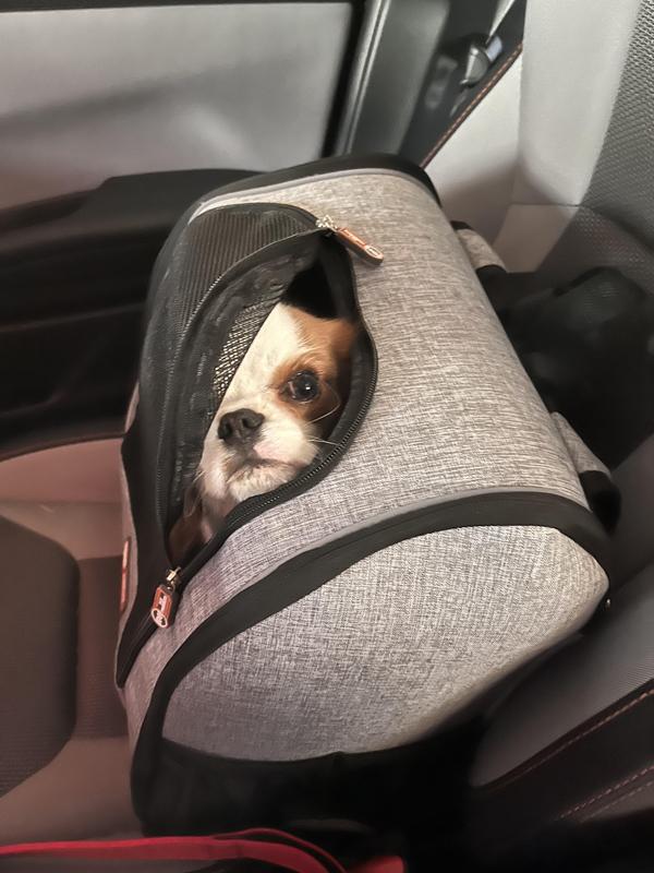 Discontinued K&H PET PRODUCTS Travel Bike Dog Backpack