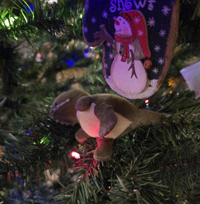 Fugitive Dinosaur in the Christmas tree!
