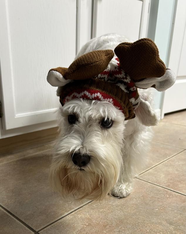 Adorable says mom, Take it off NOW says Bronn